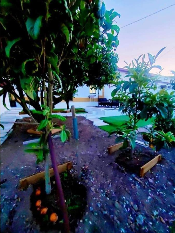 فيلا Casa Da Laranjeira Vale Covo  المظهر الخارجي الصورة