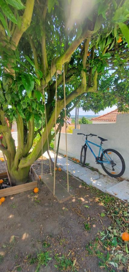 فيلا Casa Da Laranjeira Vale Covo  المظهر الخارجي الصورة