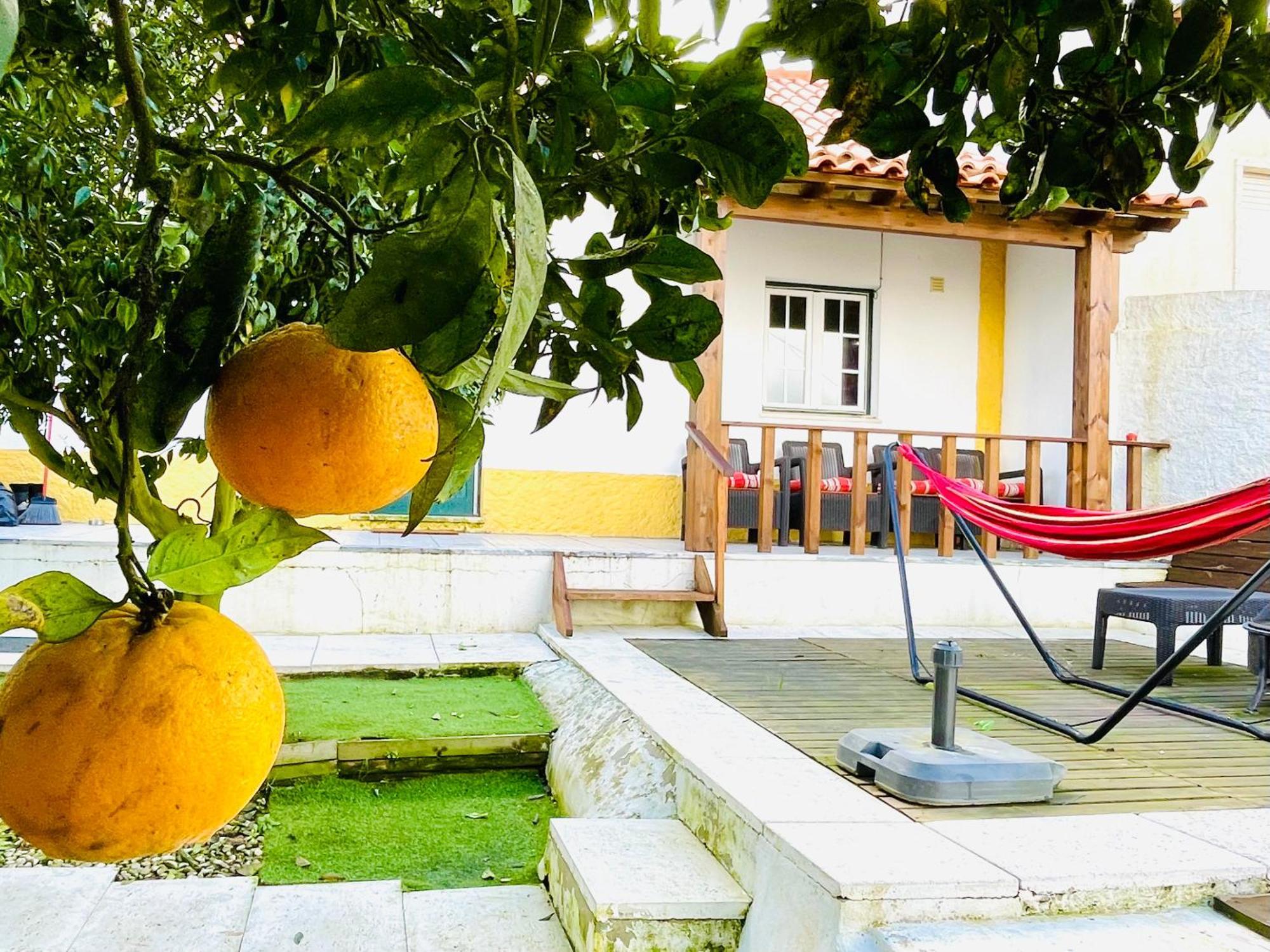 فيلا Casa Da Laranjeira Vale Covo  المظهر الخارجي الصورة